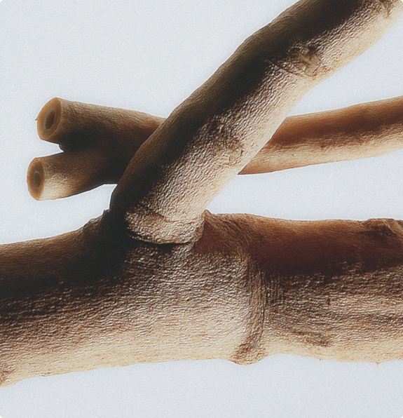 La ashwagandha y sus prometedores resultados contra el estrés crónico